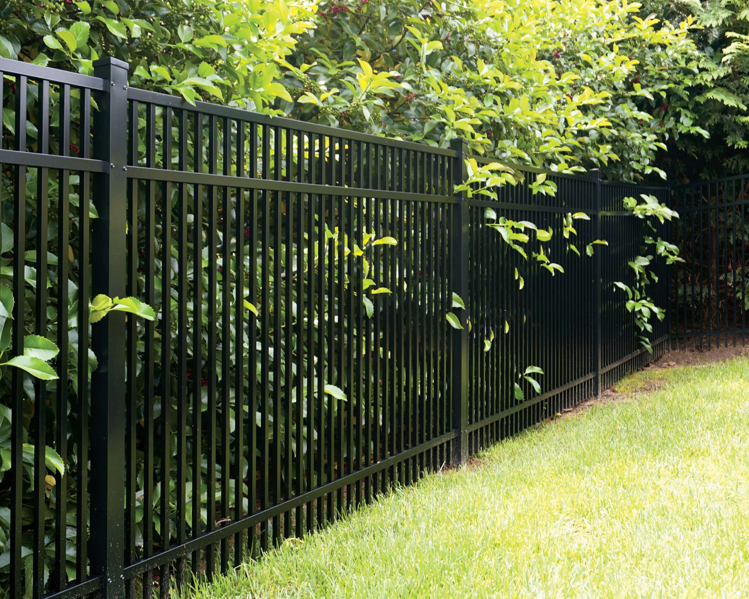 A typical backdoor setting with green manicured grass and an Active Yards Granite aluminum fence keeping nature at bay