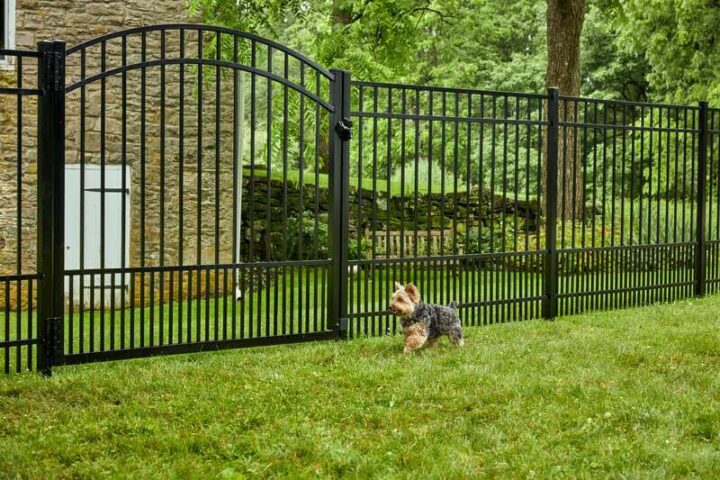 A Small Dog Prances On Green Grass In The Side Yard In Front Of A Active Yards Granite Aluminum Fence With Puppy Picket Panels.