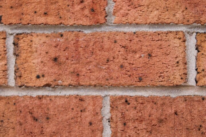 Brick Siding Installation Services In Toms River & Freehold, NJ