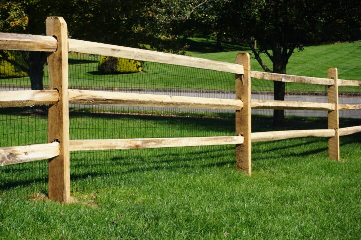 Spruce Split Rail With Locust Wire Mesh