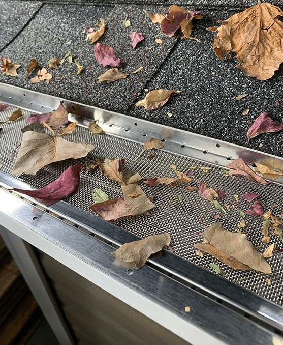The Importance of Clean Gutters and the Role of Gutter Guards