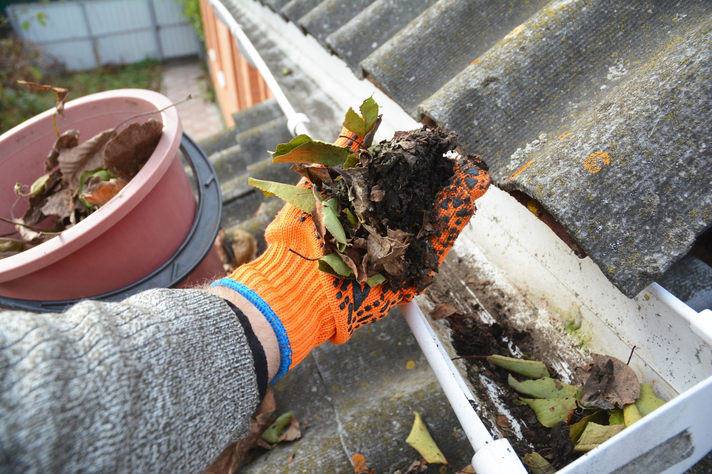 Tips to Prepare Your Roof for Spring