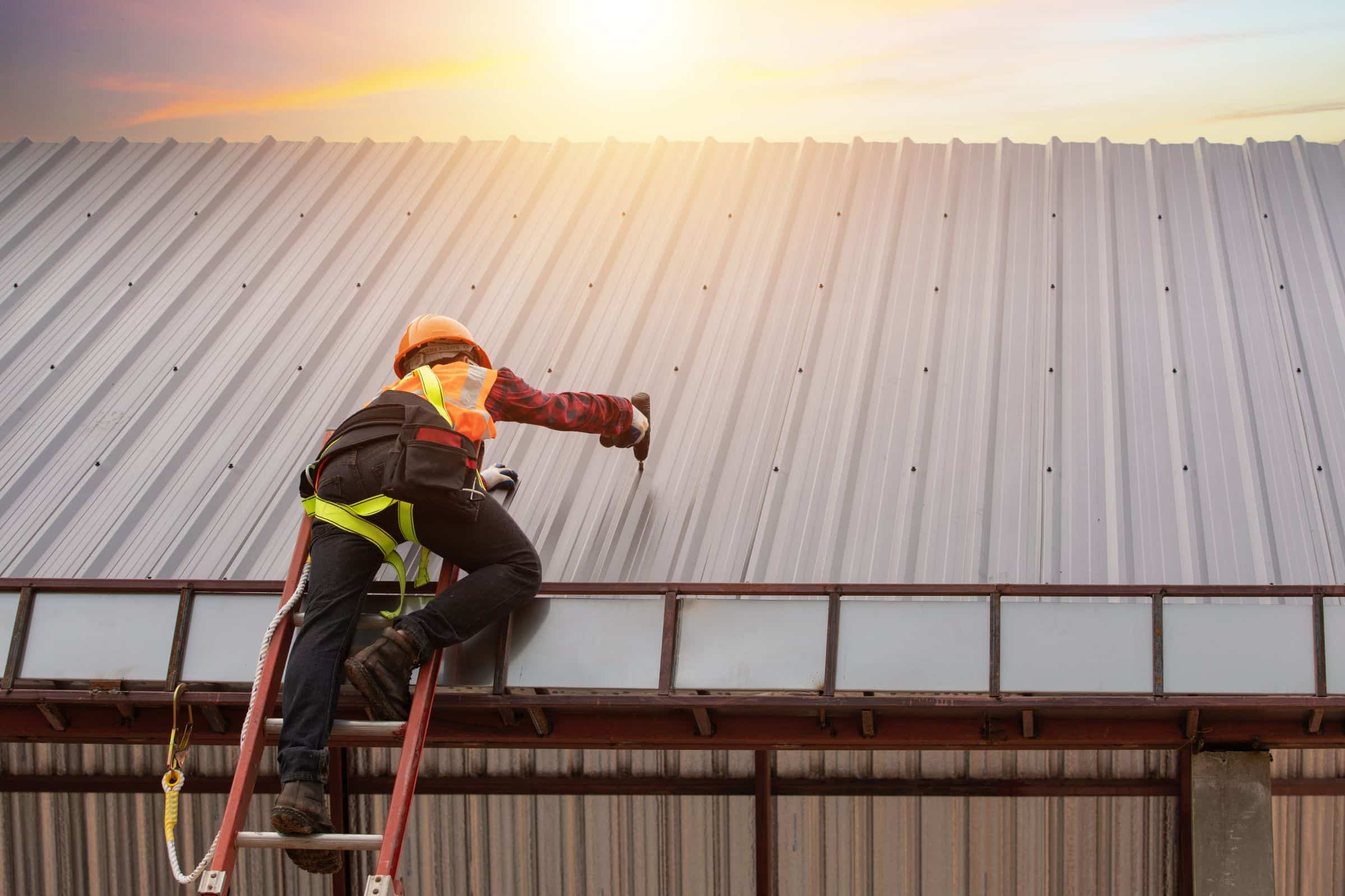 What You Need to Know About Metal Roofing