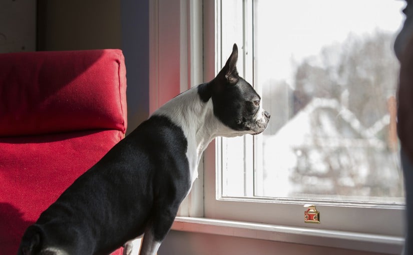 5 Telling Signs It's Time to Get a Window Replacement
